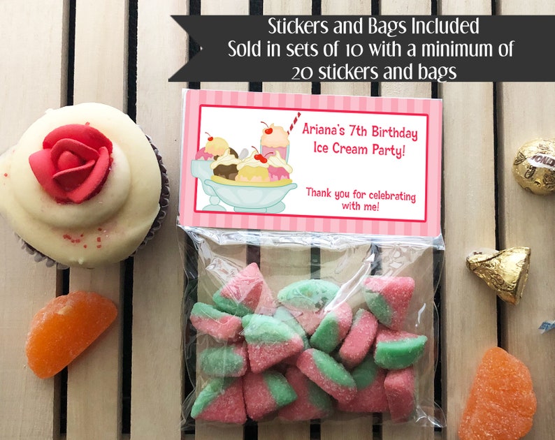 Ice Cream Party Treat Bags and Stickers Ice Cream Stickers and Bags Ice Cream Birthday Treat Bags Ice Cream Party Stickers /& Bags