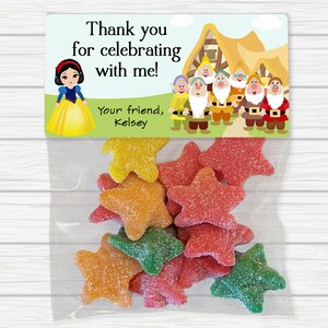 Snow White Treat Bags, Snow White Birthday Favors, Snow White Stickers and Bags, Snow White Party Favors, Snow White Favor Bags