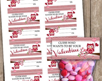 Valentines Owl Guess Who Small Treat Bag Toppers School Class Party Favors INSTANT DOWNLOAD