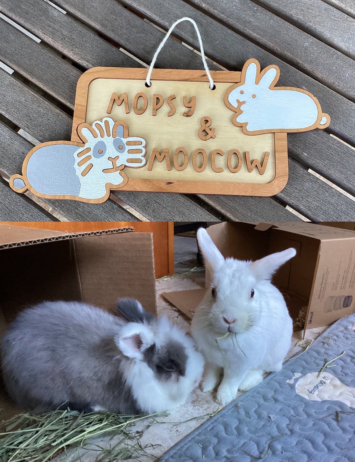 Name Sign For Rabbit Personalized Two Bunny Name Sign: Custom Rabbit Wood Decor - Etsy