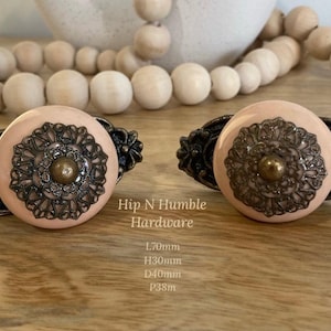 Accented Apricot Knob with Bronze Backing Plate