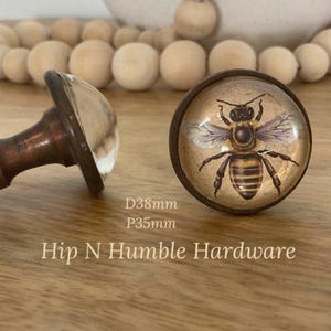 May include: Two cabinet knobs. One has a clear, rounded glass top and a bronze base. The other features a detailed bee illustration on a tan background, with a bronze frame. The text "Hip N Humble Hardware" is visible. The diameter is 38mm.