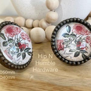 Armour Cottage Garden Glass and Metal Knob