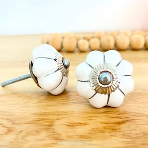 White and Silver Melon Ceramic Knob