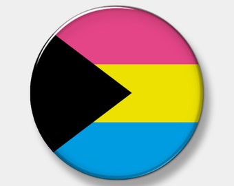 Demipansexual  Pride Flag Button - Pinback Button - 1" - 2.25" or 3" - Custom Button - You pick quantity needed - Button - Pinback