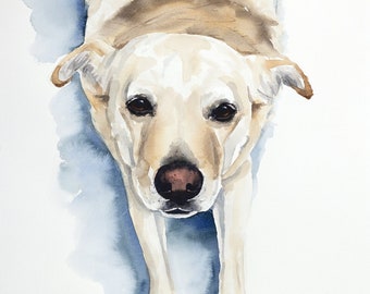 Pet portrait 16.5" x 23.5" A2, original watercolour, custom dog or cat painting, affordable, unique gift/present.