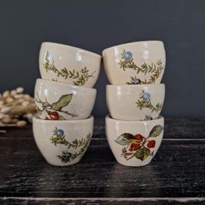 Puede incluir: Seis cuencos pequeños de cerámica blanquecina apilados sobre una superficie oscura. Cada cuenco presenta un diseño botánico con hojas verdes y bayas azules o rojas. Los cuencos tienen una forma ligeramente inclinada.