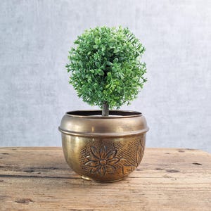 May include: A small, round, green topiary plant in a decorative brass-colored pot. The pot has an embossed floral design and sits on a weathered wooden surface. The background is a light gray wall.