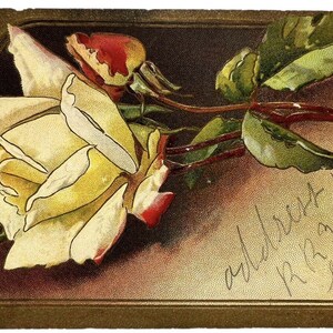 Antike Postkarte 1900s Pfeil D geprägt GELBE ROSE Geteilte Rückseite Freundschaft Freude