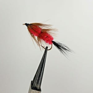 May include: A red and brown fly fishing lure with a black tail and a gold hook.