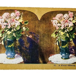 Antike 1906 Stereograph Stereoview Karte EIN FLORALES ANGEBOT 81 Blumenstrauß
