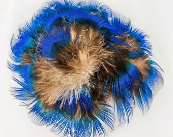 New Zealand Ethically Sourced Wild Male Peacock Electric Blue Feather Bundle