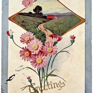 Cartão postal antigo PMK 1909 Texas SAUDAÇÕES Gerbera Margaridas Country Road Divided