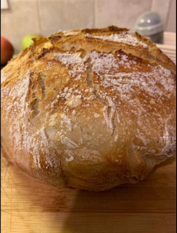 Sour Dough Bread Starter - Farm Fresh Sour Dough Bread Starter - Sour Dough Bread - Active Sour Dough Bread Starter
