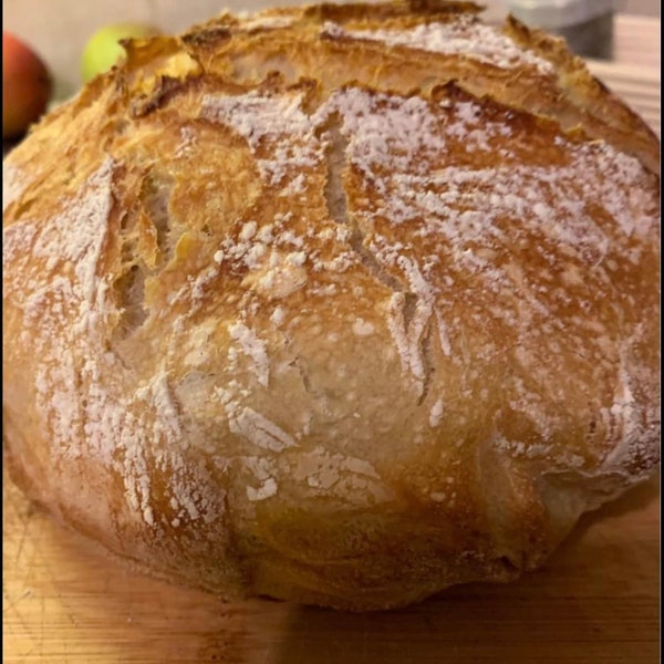 Sour Dough Bread Starter - Farm Fresh Sour Dough Bread Starter - Sour Dough Bread - Active Sour Dough Bread Starter