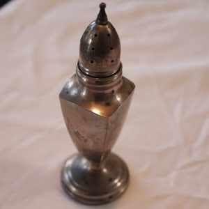 May include: A silver salt shaker with a domed top and a round base. The top has small holes for dispensing salt.