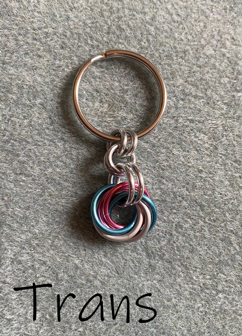 Pride Fidget Keychains, LGBTQ Pride Keyrings, Chainmaille Pride Zipper Charms, Rainbow, Lesbian, Trans, Bi, Pan, Ace, Nonbinary and more image 9