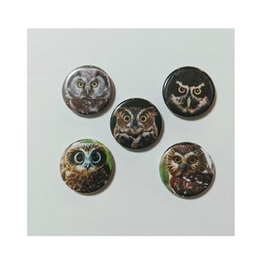May include: Five round owl-themed buttons. Each button features a different owl species with detailed feather patterns and bright yellow eyes. The buttons vary in color, including brown, black, and white, and are set against a white background.