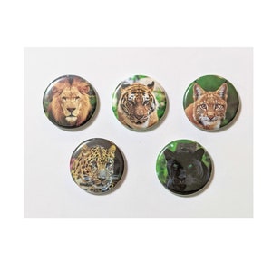 May include: Set of five round buttons featuring big cat portraits: a lion, tiger, bobcat, leopard, and black panther. Each button showcases a detailed image of the animal's face against a neutral or green background.