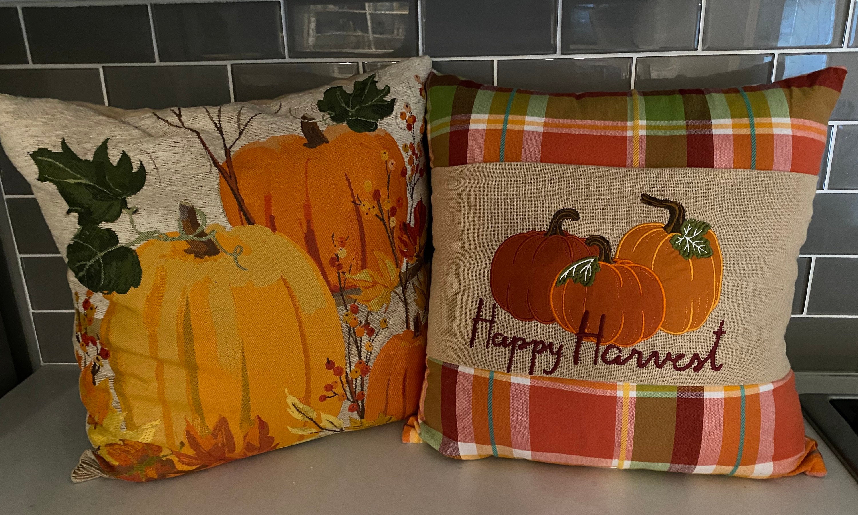 Fall harvest decorative pillows set of 2 Etsy