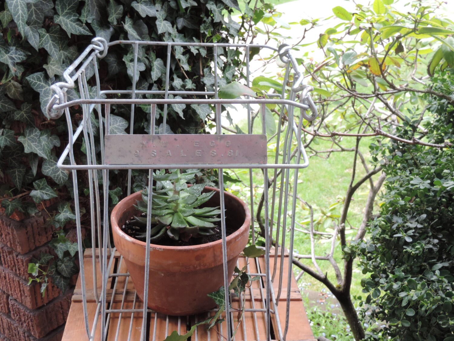 Vintage Metal Egg Crate Industrial Egg Carrier Country Etsy