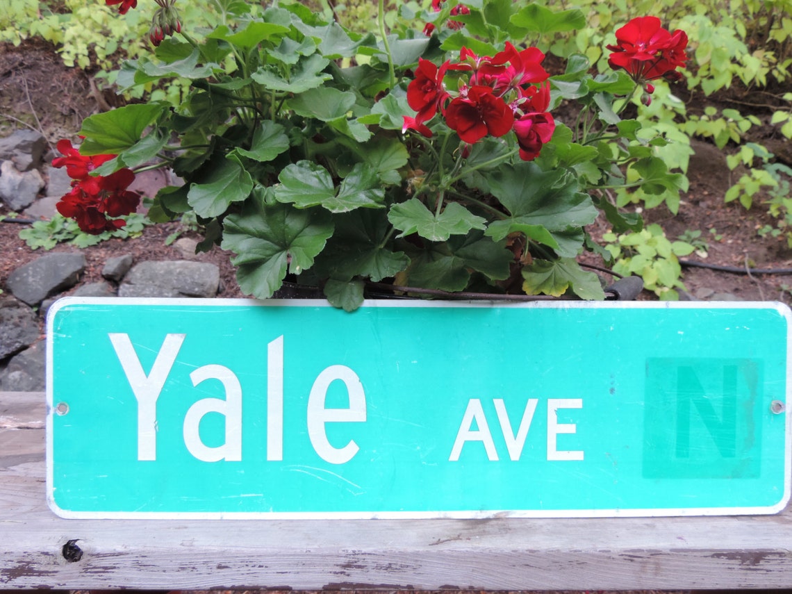 YALE Vintage Street Sign Yale Ave N. Ivy League Wall Hanging Industrial Decor Trendy Signage
