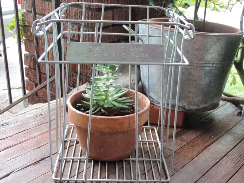 Vintage Metal Egg Crate Industrial Egg Carrier Country Etsy