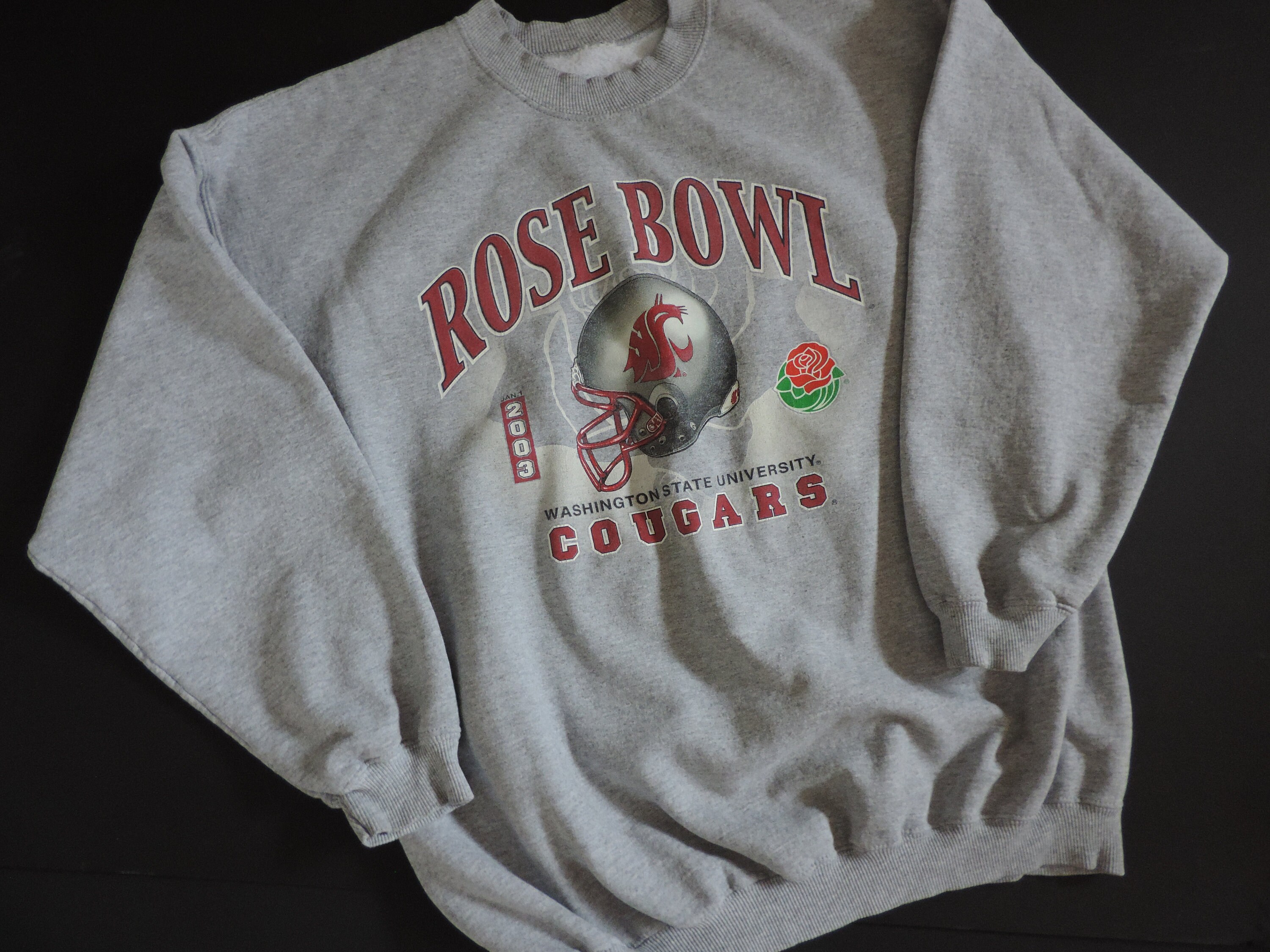 Y2K Sweatshirt Washington State University Rose Bowl WSU PAC 10