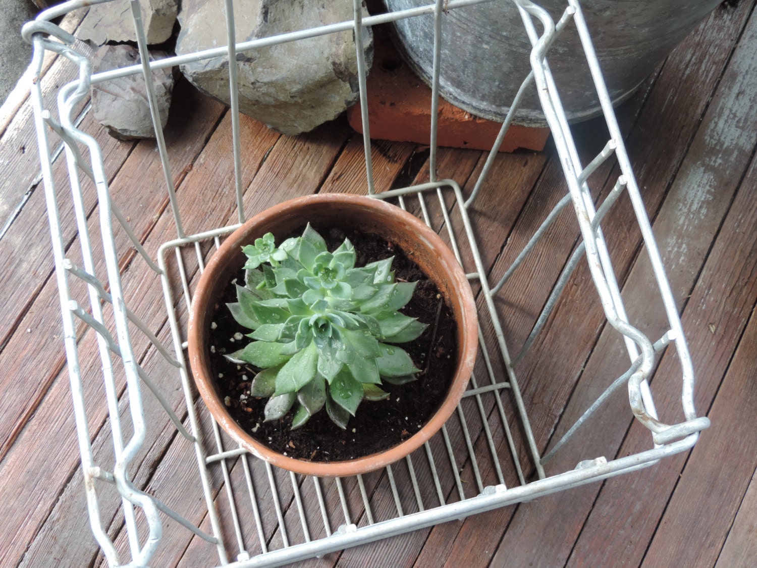 Vintage Metal Egg Crate Industrial Egg Carrier Country Etsy