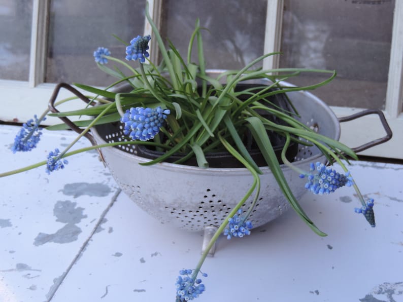 Vintage Mirro Colander 1940s Primitive Strainer Inside Outside Garden Decor Country Farmhouse Design