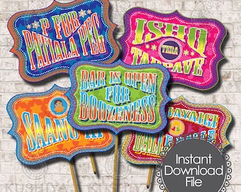 Indian Themed Photo Booth Props - Desi Style, Party Signs, Balle Balle, Instant Download, Printable, Print your own, PDF File, Set of 5