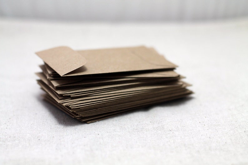 BULK 100 Mini Kraft Seed Packet Envelopes for Seed Packet Wedding Favors Mini Envelopes Favors Birthday Baby Shower 2 1/4 x 3 1/2 Bild 2