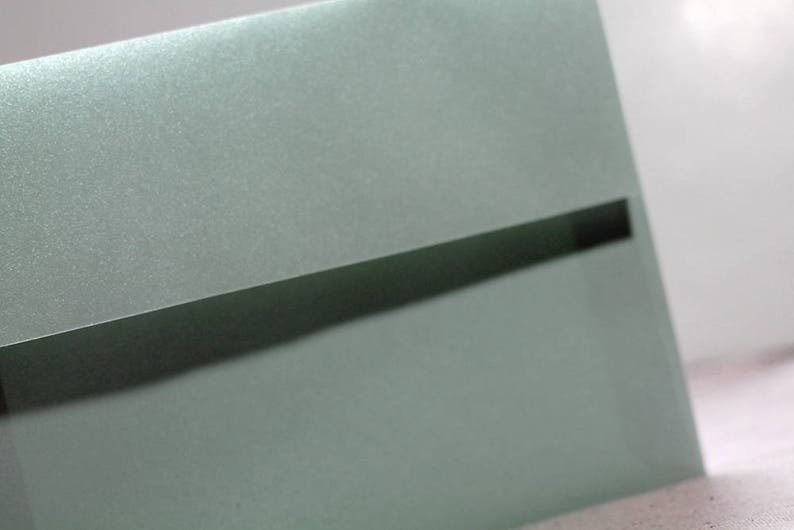 May include: A light green envelope with a black flap. The envelope has a subtle shimmery finish.