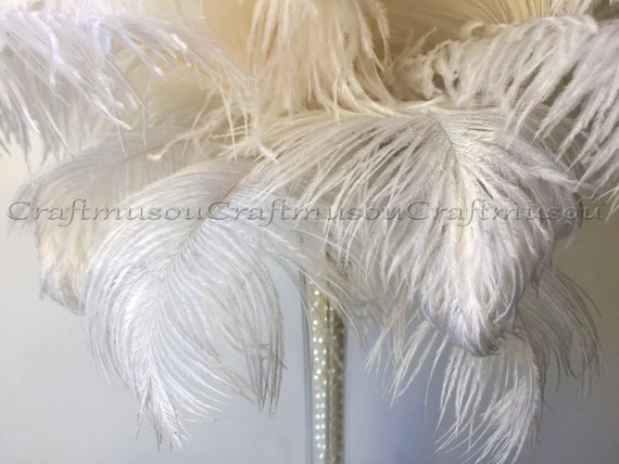 Items similar to 10 Piece 10-24 inches White ostrich feather for ...