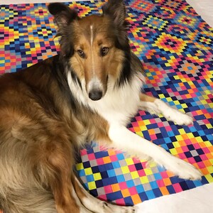 May include: A brown and white Collie dog with long fur is lying on a colorful patchwork quilt. The quilt is made of squares of different colors, including pink, blue, yellow, green, and orange.