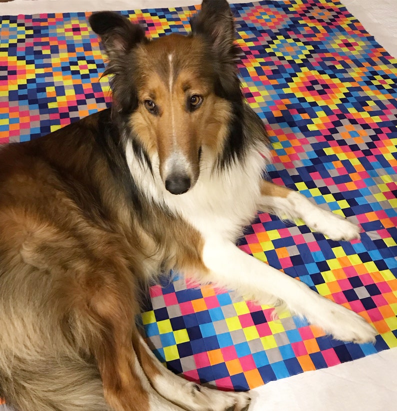 May include: A brown and white Collie dog with long fur is lying on a colorful patchwork quilt. The quilt is made of squares of different colors, including pink, blue, yellow, green, and orange.