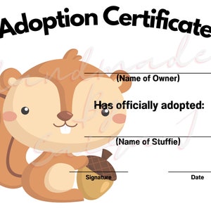 May include: Adoption certificate with a cartoon squirrel holding an acorn. The certificate has spaces for the name of the owner, the name of the stuffed animal, a signature, and the date.
