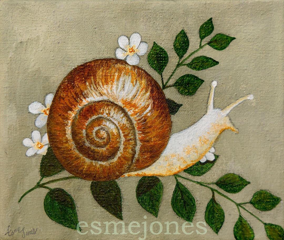 Slow and Steady- Archival Paper Print - Etsy