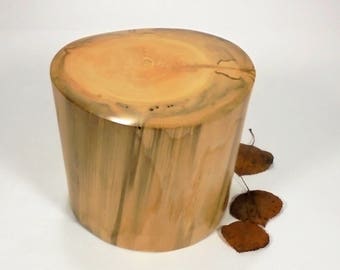 Aspen Tree Cremation Urn Small, Wood Cremation Urn for Ashes. Memorial, Funeral & Burial Urns. Wooden Urn Made in Colorado. 30 lbs.