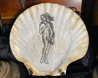 NEW! Venus / Aphrodite Shell w Stand and Pouch