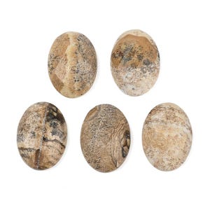 25x18mm cabochon in landschapsjaspis, ovale cabochon in landschapsjaspis afbeelding 4