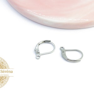 Könnte beinhalten: Zwei silberne Ohrhaken, auch Ohrbügel genannt, werden auf einer weißen Oberfläche gezeigt. Die Haken sind aus Metall und haben ein schlichtes Design.