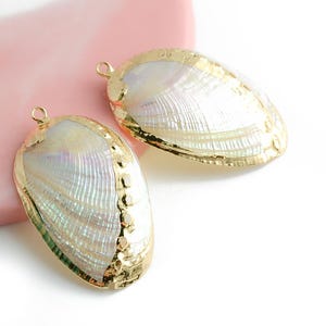 Könnte beinhalten: Zwei vergoldete Abalone-Muschel Anhänger mit einem perlmuttartigen, irisierenden Finish. Die Muscheln sind oval geformt und haben eine strukturierte Oberfläche.