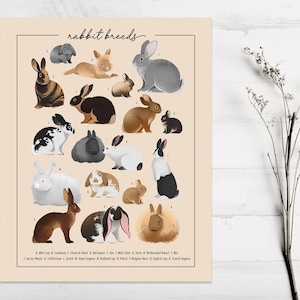 Rabbit Breeds Art Print | Rabbit Lover Art | Bunny Art Print | Rabbit Lover Poster | Rabbit Breeds Illustration | Rabbit Watercolor