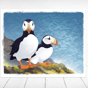 Alaska Puffin Wildlife Print | Bird Art | Puffin Art | Wildlife Painting | Bird Painting | Bird Illustration | Alaska Art | Horned Puffin