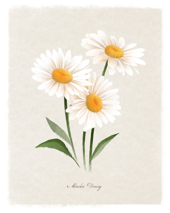 Shasta Daisy Flower Art Print Vintage Flower Print Botanical Print Botanical Illustration Flower Art Watercolor Flower Painting