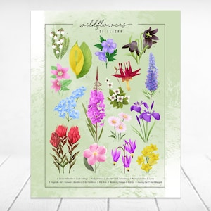 Wildflowers of Alaska Art Print | Flower Art Print | Vintage Flower Print | Botanical Print | Botanical Art | Alaska Flower Painting