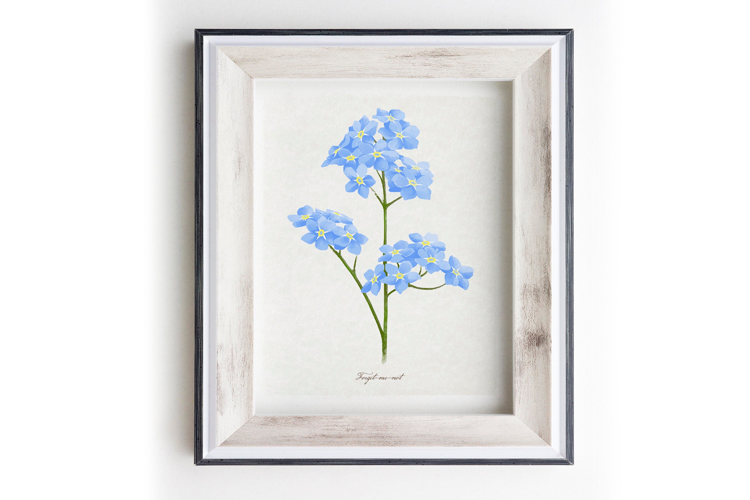 Forget Me Not Flower Art Print Forget-me-not Print Vintage - Etsy