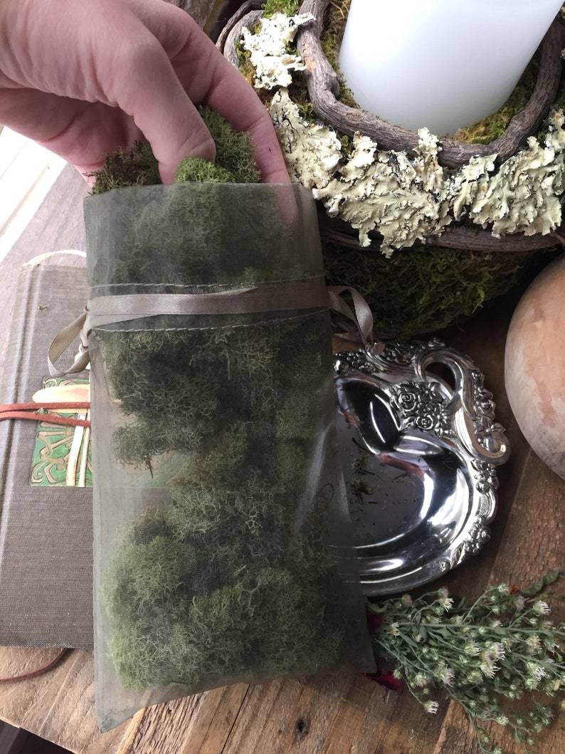 5 Oz. Spring Green Reindeer Moss Bulk Fairy Garden Supply Etsy