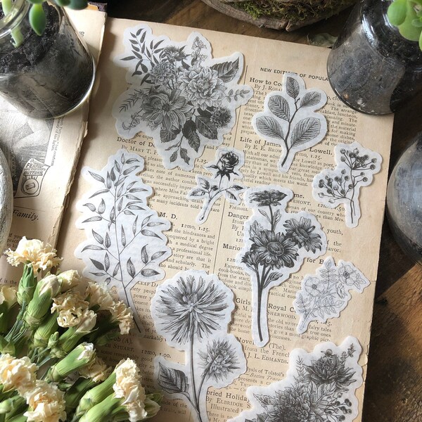 20 Pc Botanical Sketches Vellum Sticker Pack: Journaling, Natural History, Scrapbooking, Art Journal, Bujo Journal, Snail Mail